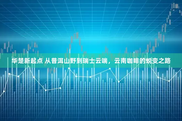 华楚新起点 从普洱山野到瑞士云端，云南咖啡的蜕变之路