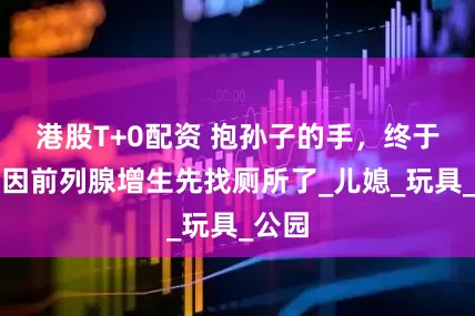 港股T+0配资 抱孙子的手，终于不用因前列腺增生先找厕所了_儿媳_玩具_公园