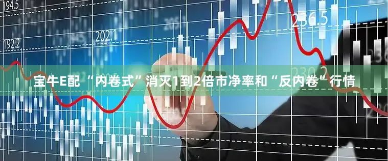 宝牛E配 “内卷式”消灭1到2倍市净率和“反内卷”行情
