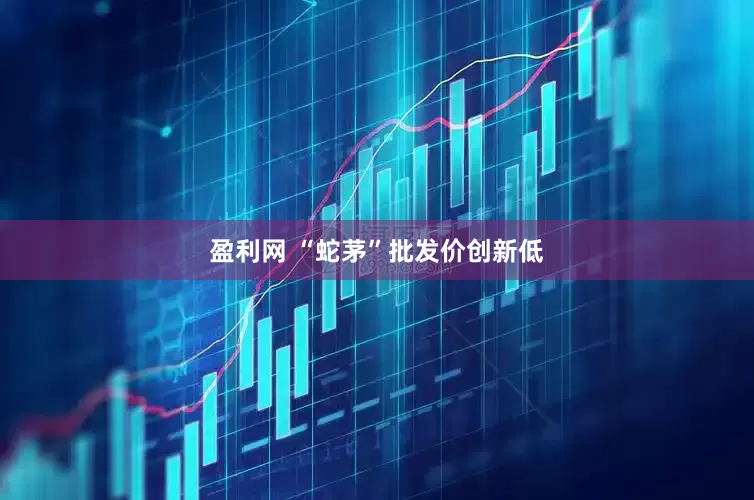 盈利网 “蛇茅”批发价创新低