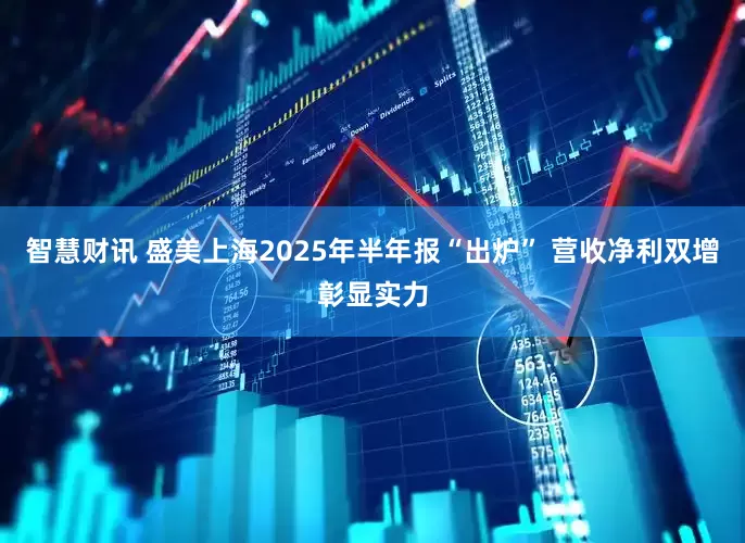 智慧财讯 盛美上海2025年半年报“出炉” 营收净利双增彰显实力