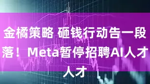 金橘策略 砸钱行动告一段落！Meta暂停招聘AI人才